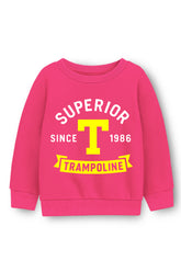 Trampoline Fleece Knit Full Sleeves Text Printed Winter Sweatshirt -Pink