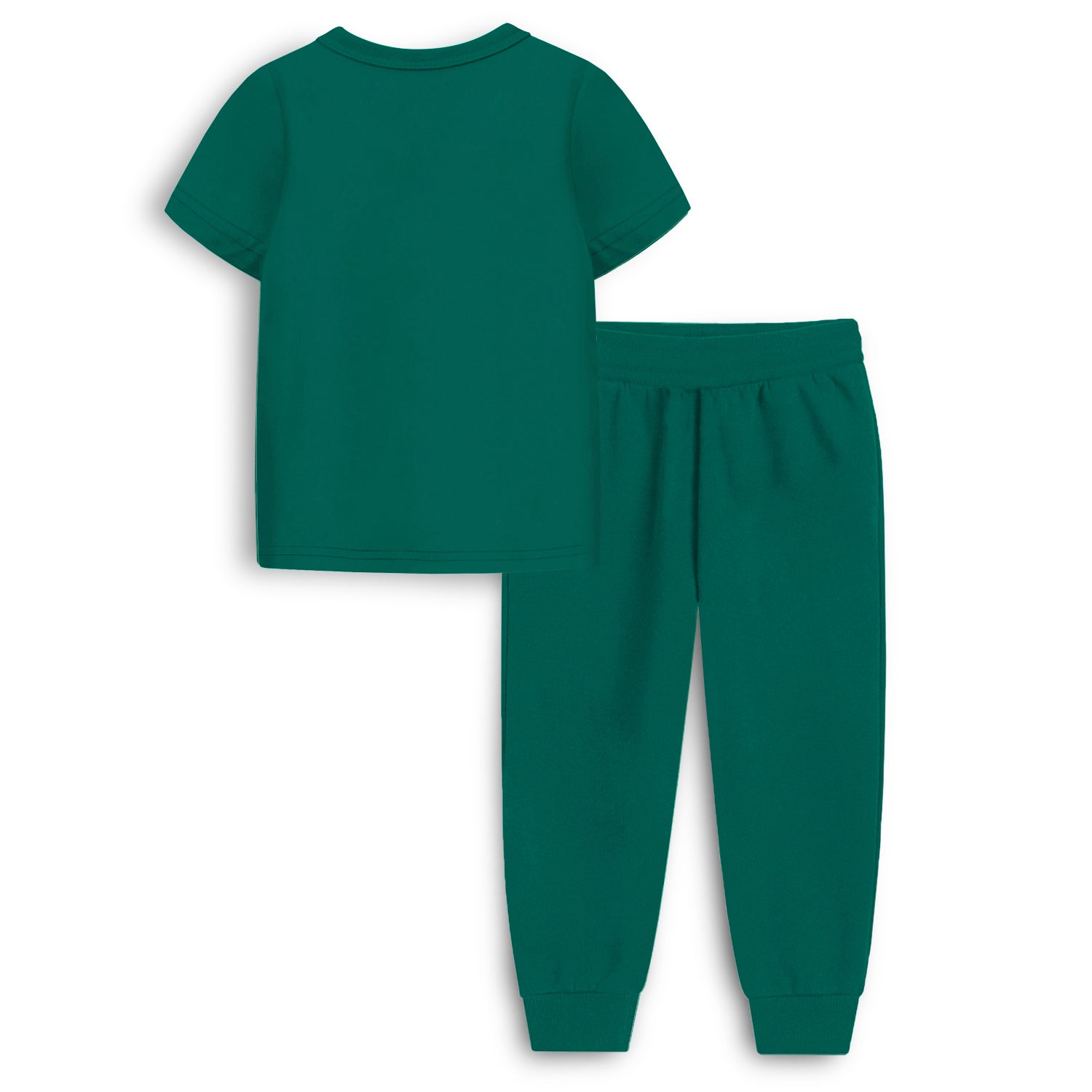 Trampoline Cotton Blend Knit Half Sleeves Vintage 1960 Printed T-shirt & Track Pants Set - Green