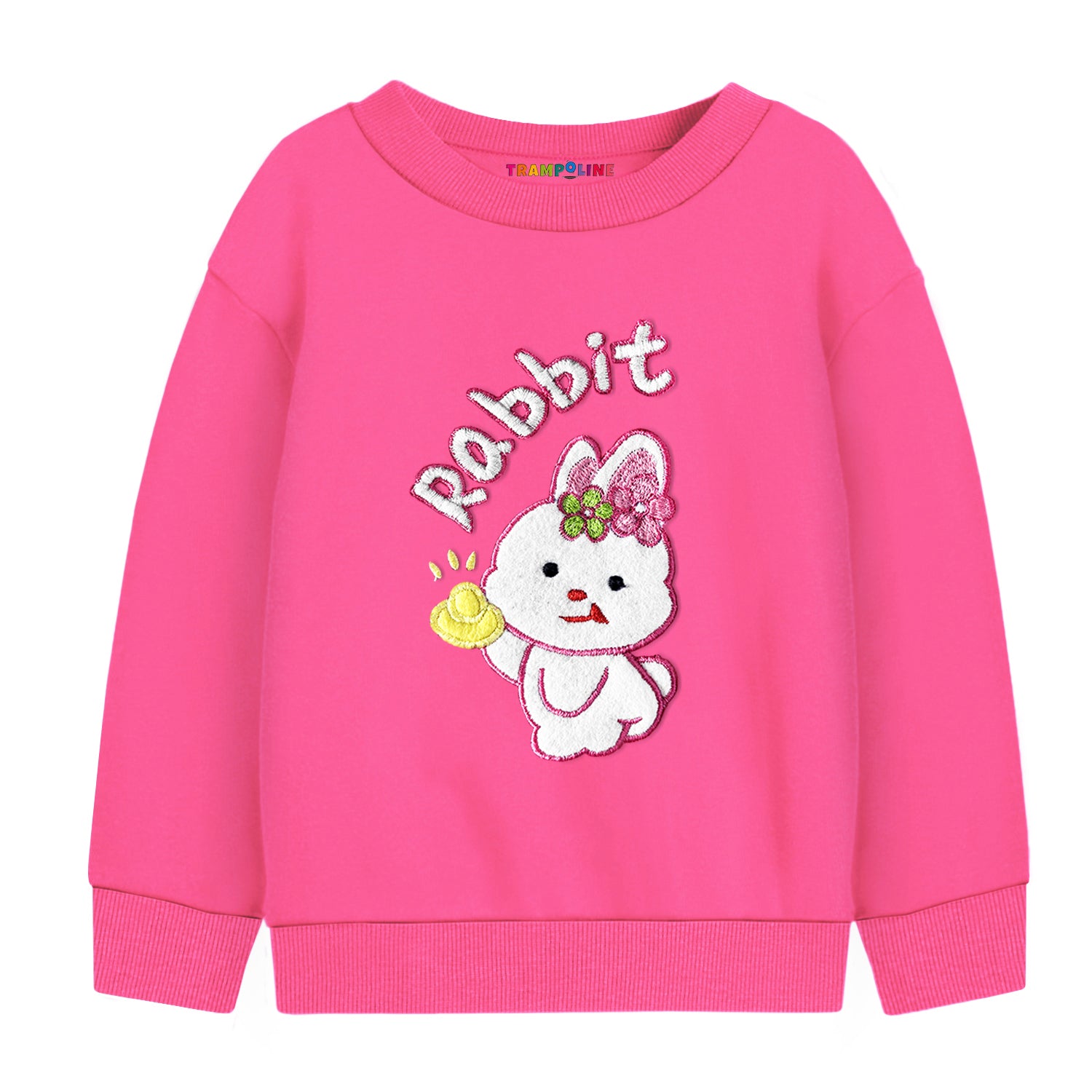 Trampoline Girls Full Sleeve Printed Sweatshirt (Pack of 2)