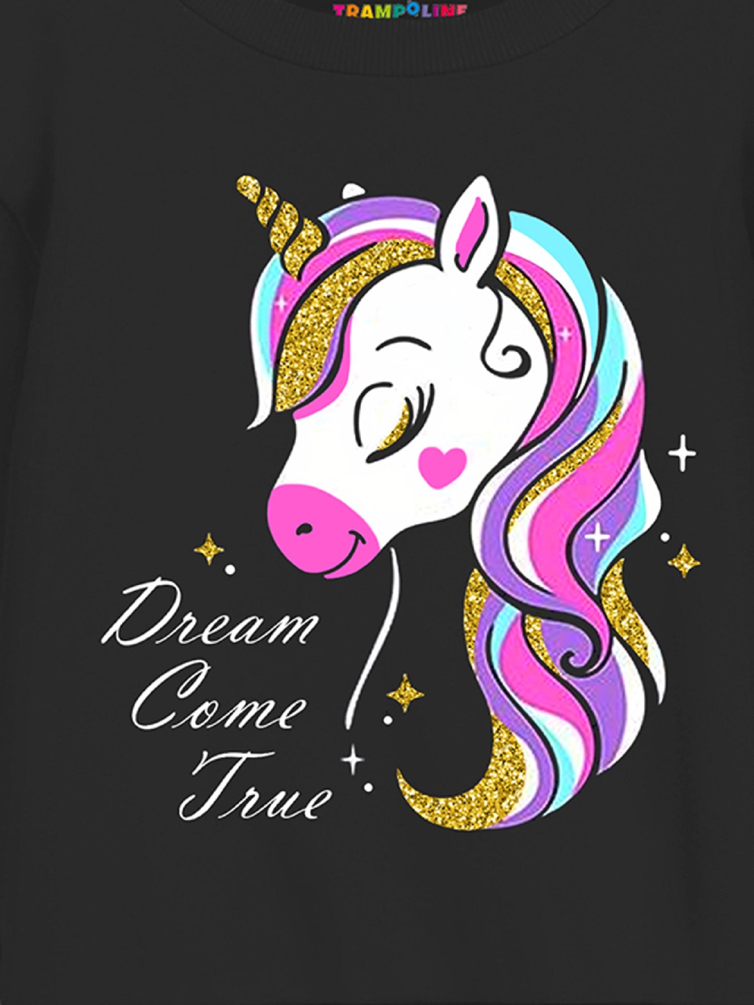 Trampoline Girls Full Sleeve Printed Sweatshirt (Pack of 1)