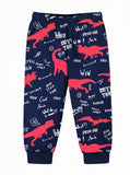 Trampoline Knit Terry Loop Dinosaur Printed Tee & Track Pant Set - Multicolor