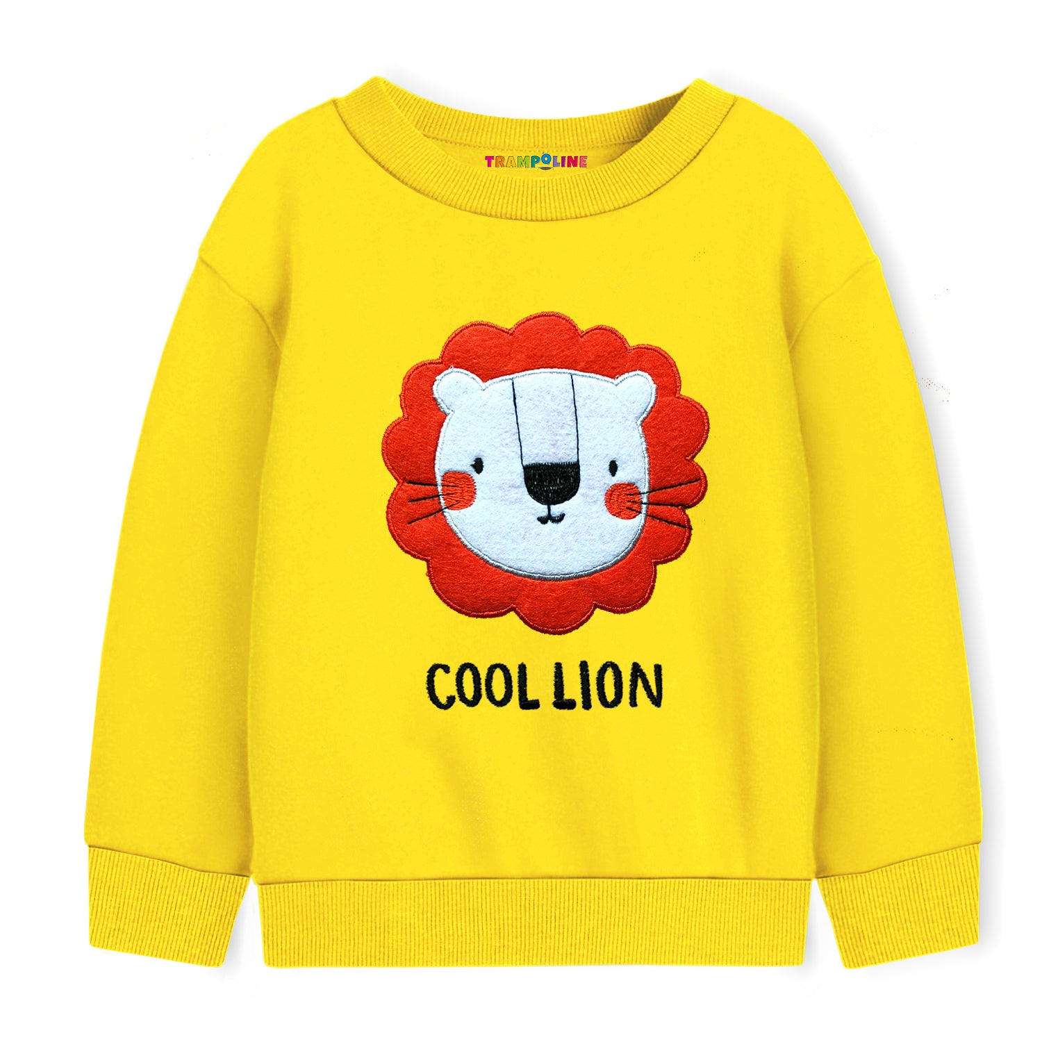 Trampoline Boys Full Sleeve Printed Sweatshirt (Pack of 2)