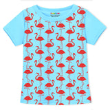 Trampoline Girls Full Sleeves Regular Fit T-Shirt (Pack of 5)