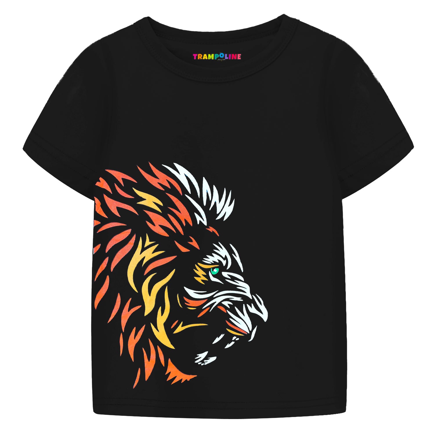 Trampoline Boys Half Sleeves Regular Fit T-Shirt (Pack of 3)