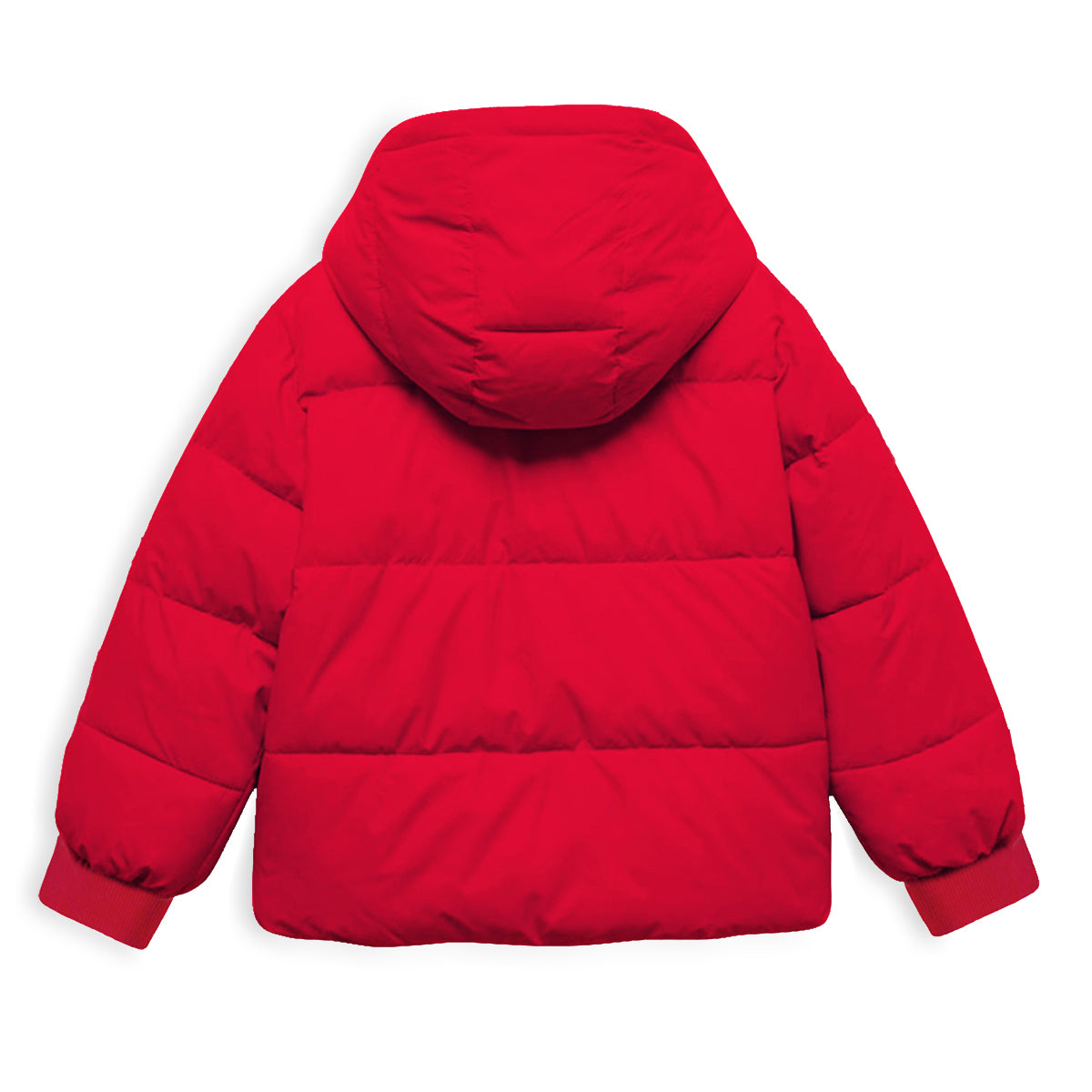 Trampoline Boys Colorblock Casual Bomber Jacket (Pack of 1)