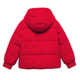 Trampoline Boys Colorblock Casual Bomber Jacket (Pack of 1)