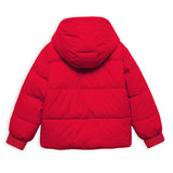 Trampoline Boys Colorblock Casual Bomber Jacket (Pack of 1)