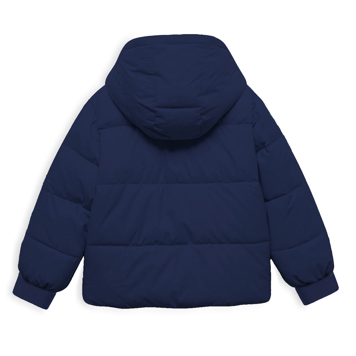 Trampoline Boys Colorblock Casual Bomber Jacket (Pack of 1)