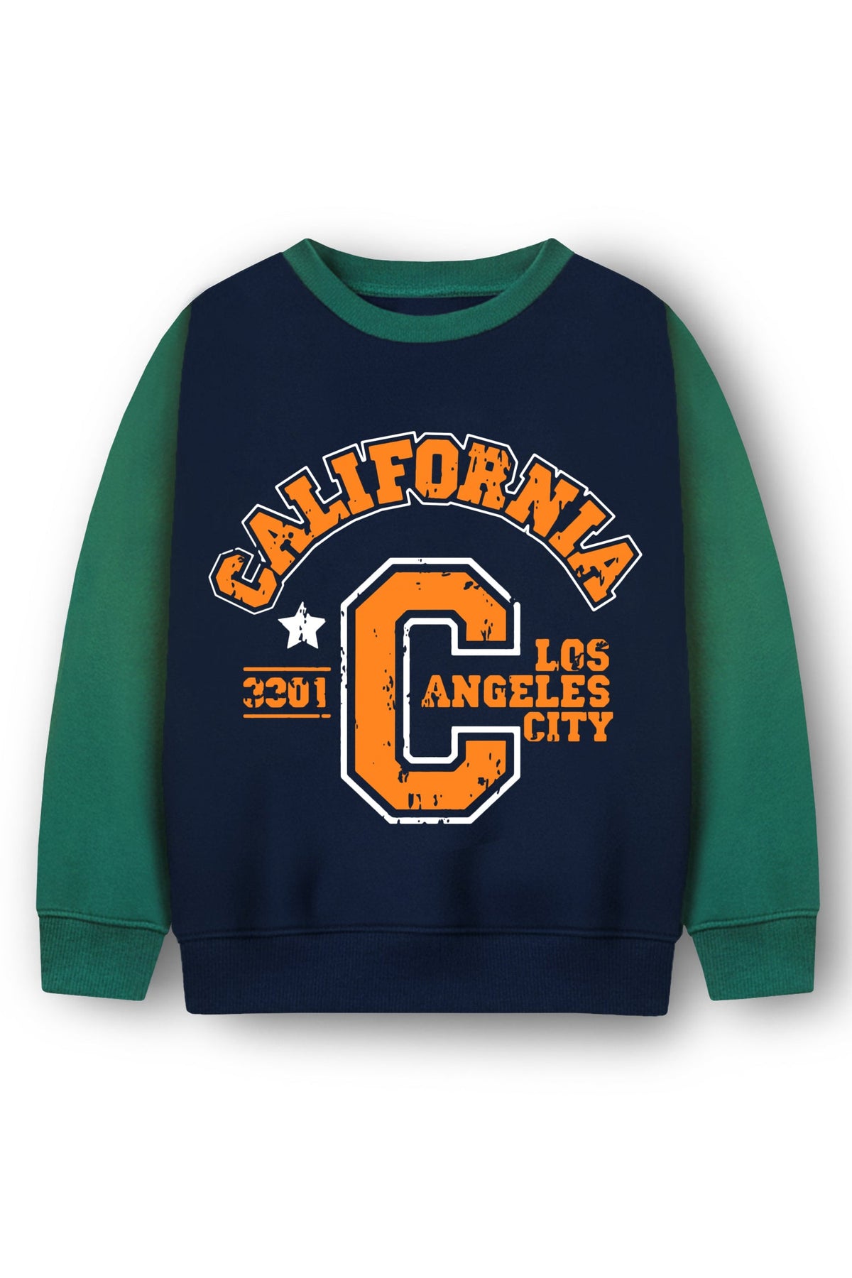 Trampoline Fleece Knit Full Sleeves California Printed Colour Blocked Winter Sweatshirt - Blue & Green